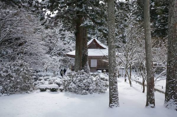 1011622_797025433644859_2045939670_n