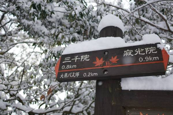 1526993_797025026978233_1698466957_n