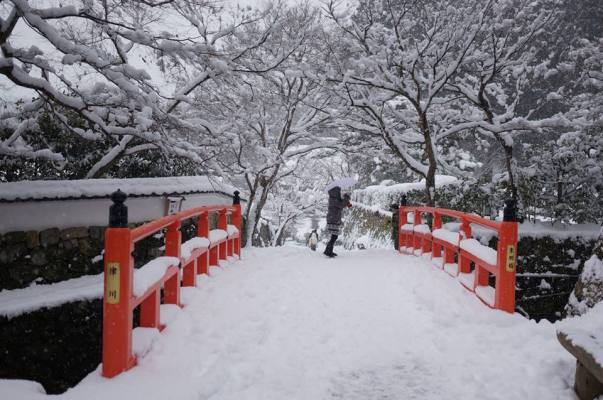 1621931_797025970311472_1395265735_n